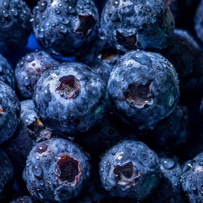 Best Blueberry Jam Recipe for Canning at Home